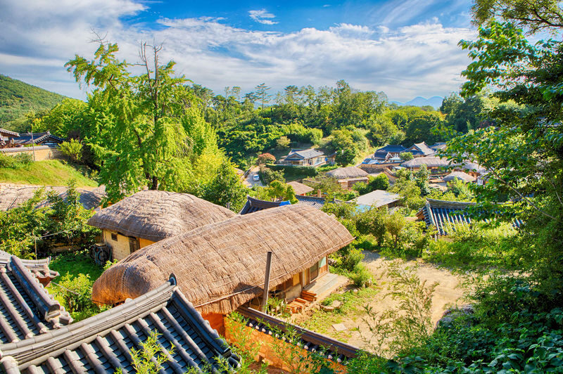 Gyeongju UNESCO World Heritage Day Tour from Busan - Should you book this Gyeongju day tour?