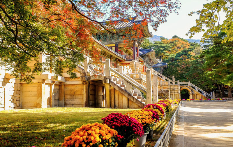 Gyeongju UNESCO World Heritage Sites Day Tour From Busan - One day, many sides of Gyeongju