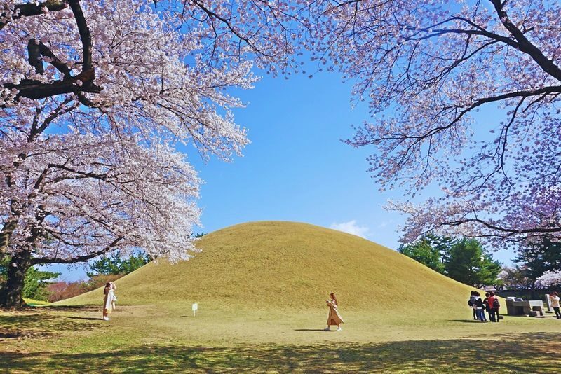 Gyeongju UNESCO World Heritage Sites Day Tour From Busan - Cheomseongdae and the old city