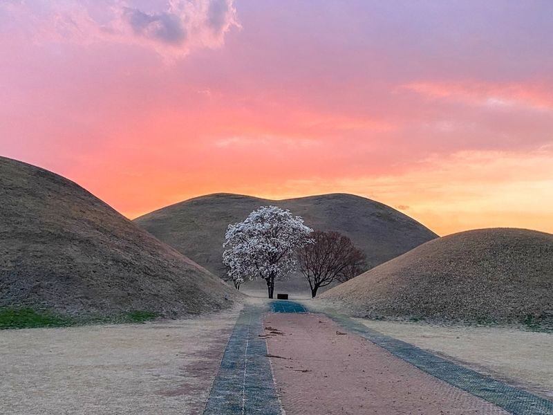 Gyeongju UNESCO World Heritage Sites Day Tour From Busan - Woljeonggyo Bridge at dusk