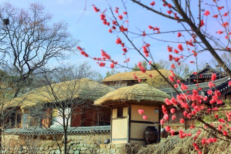 Gyeongju UNESCO World Heritage Sites Day Tour From Busan - Seasonal color and a few sensible precautions