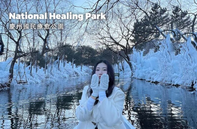 Gyeongju Winter Trip: Ice River+Bulguksa+Woljeong From Busan - Who Is This Tour Best For?