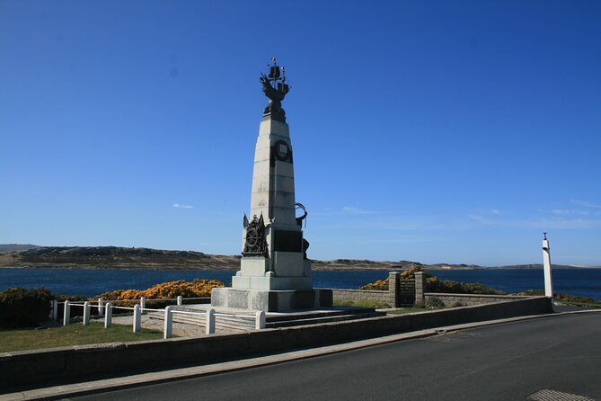 Gypsy Cove and the Main City Attractions in Falkland Islands - Gypsy Cove: A Natural Wonder