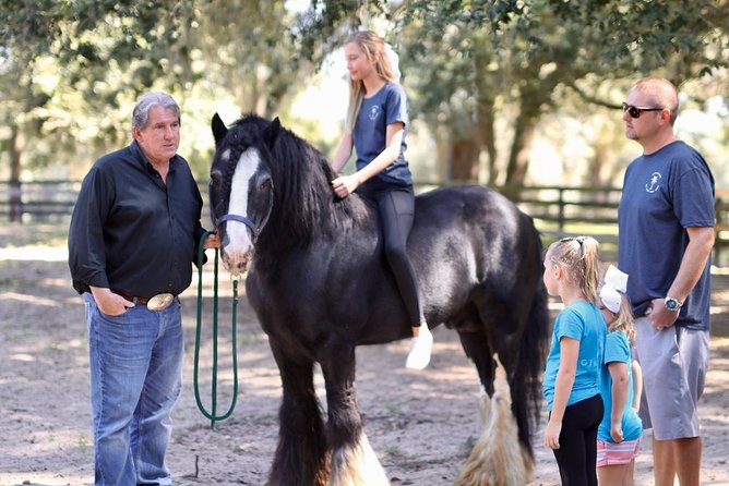 Gypsy Gold Horse Farm Tour - Cancellation Policy Details
