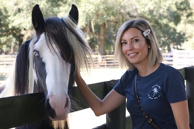 Gypsy Gold Horse Farm Tour - The Sum Up