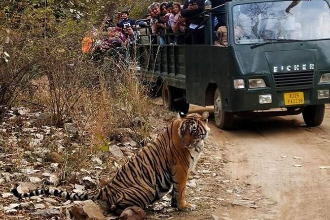 Gypsy Safari (Foriegn National)- Ranthambore National Park - Confirmation and Accessibility