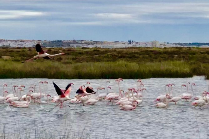 Gyrocopter Flight Experience in Algarve - Albufeira Hotel Pickup Option