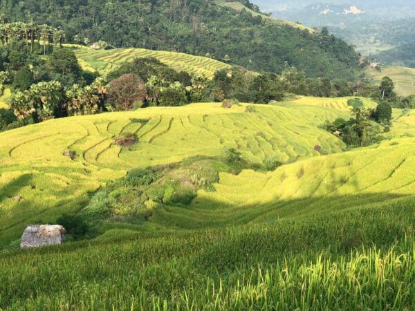 Ha Giang: 3-Day Adventure Tour With Easy Rider - Packing Essentials