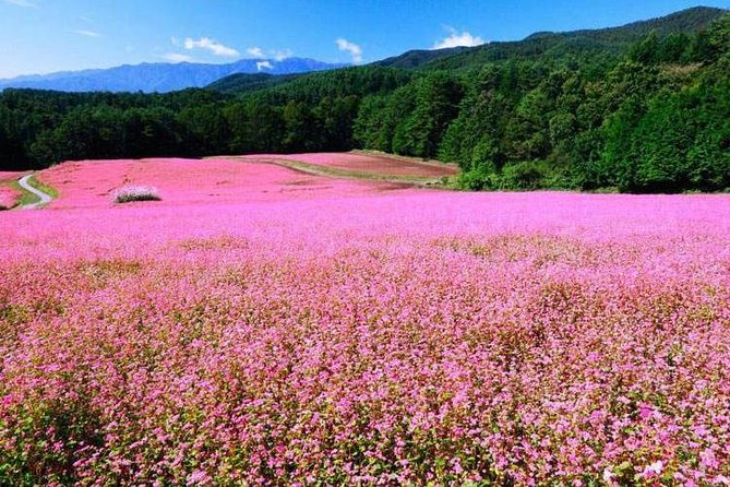 Ha Giang 5 Days 4 Nights Private Tour - Common Questions