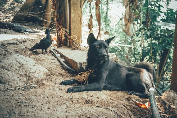 Ha Giang 5 Days 4 Nights Private Tour - The Sum Up