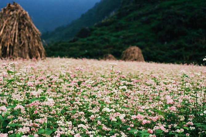 Ha Giang Adventure Group Tour 3 Days - Common Questions