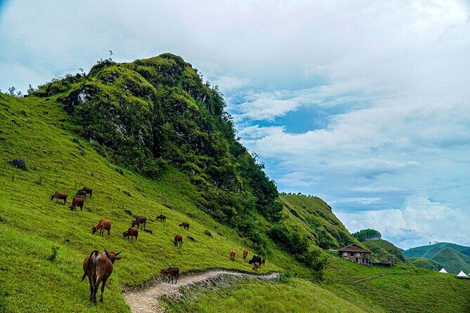 Ha Giang and Cao Bang 5 Days Easy Rider with The Loop Tours - Day 5: Nguom Ngao Cave and Ban Gioc Waterfall