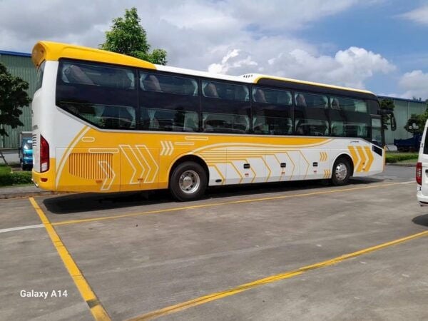 Ha Giang: Bus Transfer to Cat Ba Island and Back - Why Choose This Transfer Service