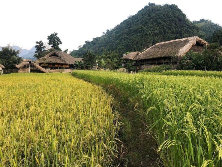 Ha Giang Comfort Car Ride Tour in 4D3N - Cancellation Policy Details