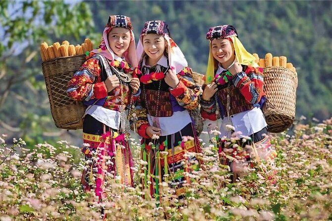 Ha Giang Discovery Tour 3 Days from Hanoi - Practical Details and What to Expect