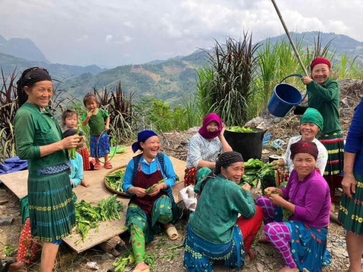 Ha Giang Loop 3 Days 2 Nights Tour by Motorbike - Tour Overview