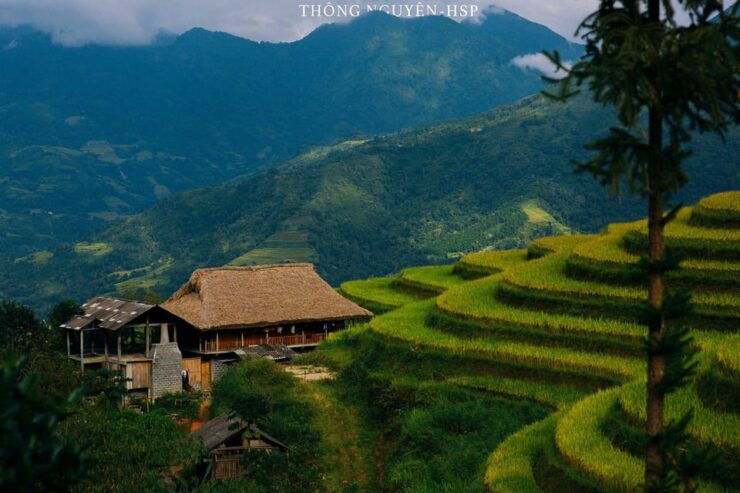 Ha Giang Loop 4Days - 3Nights With Easy Rider Tour Guide - Itinerary Highlights
