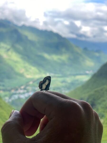 Ha Giang Loop Jasmine Tour 4D3N - Customer Reviews