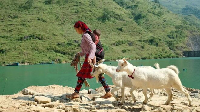 Ha Giang - Nho Que River 4D3N - Pricing and Duration