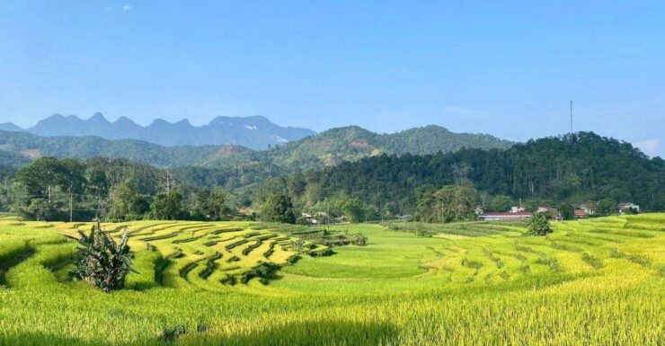 Ha Giang Trekker in 3D3N - Activity Details