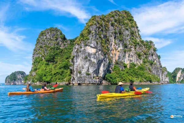 Ha Long 1 Day Small Group & Kayak - Tips for Travelers