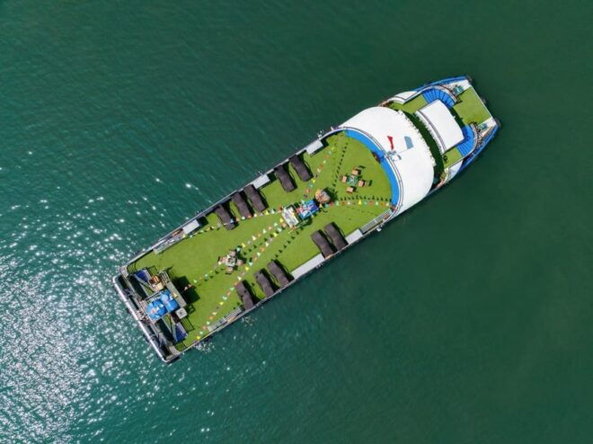 Ha Long 1 Day Trip With DragonKing Cruise - What to Expect
