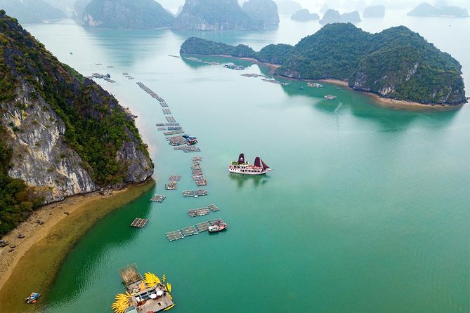 Ha Long Bay Cruise Day Tour - Best Selling: Kayaking, Swimming, Hiking & Lunch - Common Questions