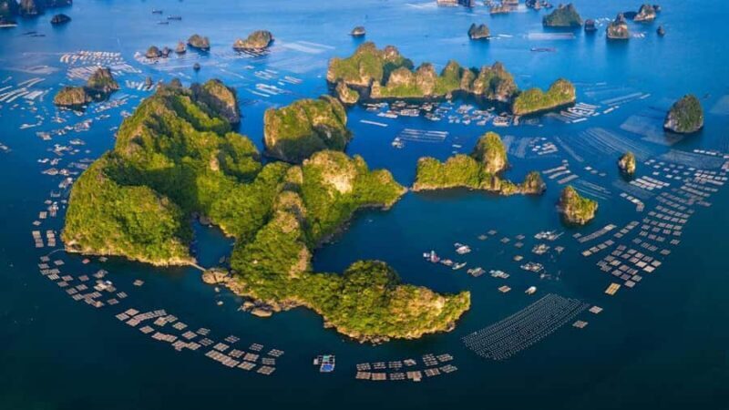 Ha Long Bay Cruise - Swimming, Meal, Kayaking In 1 Day - Discovering Ha Long Bay: What You Can Expect