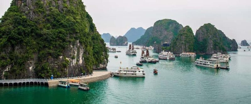 Ha Long Bay Cruise - Swimming, Meal, Kayaking In 1 Day - The Food and Comfort Level