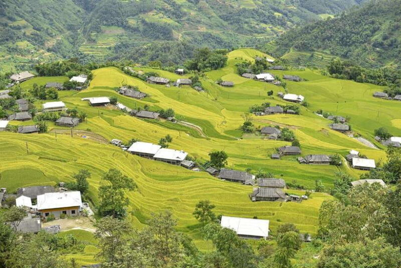 Ha Long Bay Cruise - Swimming, Meal, Kayaking In 1 Day - Who Might Want to Consider Other Options?