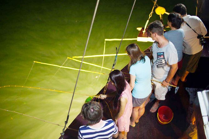 Ha Long Bay - Lan Ha Bay 3D2N on 5-star Cruises - Itinerary Highlights