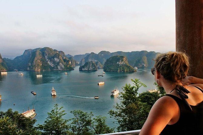 Ha Long Bay Luxury Cruise 1 Day - Who Would Benefit Most from This Tour?