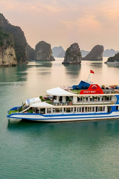 Ha Long Cruise 2 Days 1 Night - Luxury - Itinerary Highlights