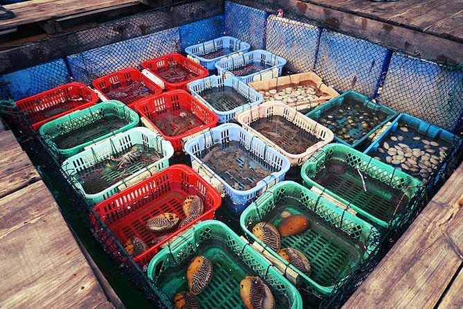 Ha Long Full Day 4-Hour Trip From Hanoi - Food and Dining Options