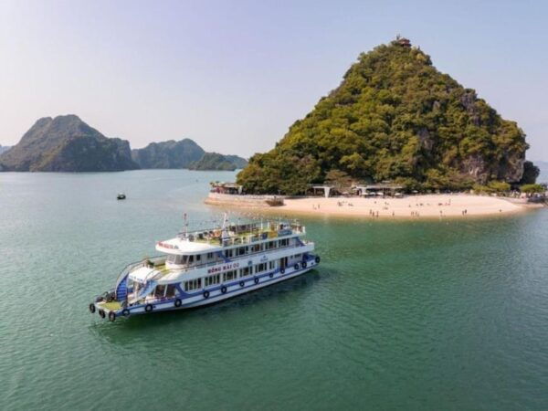 Ha Long: Half Day Cruise With Lunch, Kayaking, and Swimming - How to Book