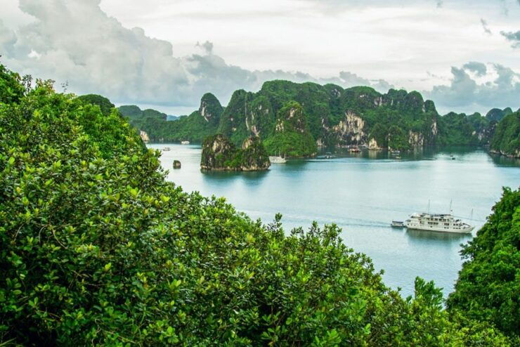 Hạ Long: Inland City Tour - Highlights of the Tour