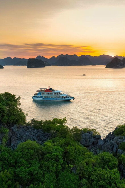 Ha Long Premium Cruise 5 Star Luxury Day Trip - What to Expect Onboard