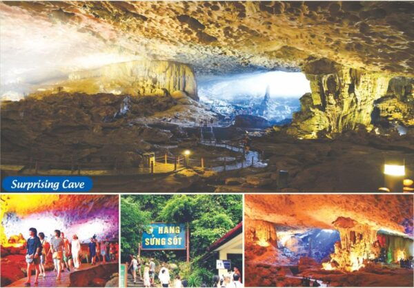 Ha Noi: 1 Day Ha Long Bay Cruise / Cave, Titop Island, Kayak - Ha Long Bay - UNESCO World Heritage Site
