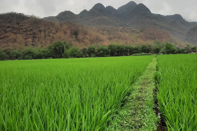 Ha Noi Airport Private Cars - The Sum Up