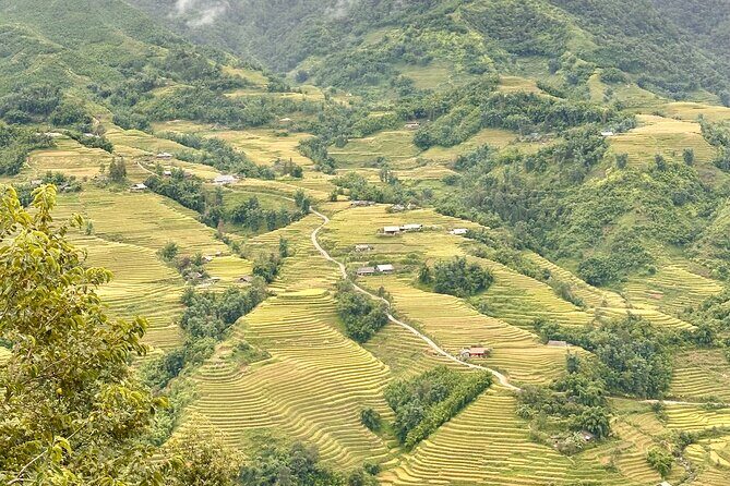 Ha Noi Car Transfer to Sapa or Vice Versa - An In-Depth Look at the Hanoi to Sapa Transfer Experience