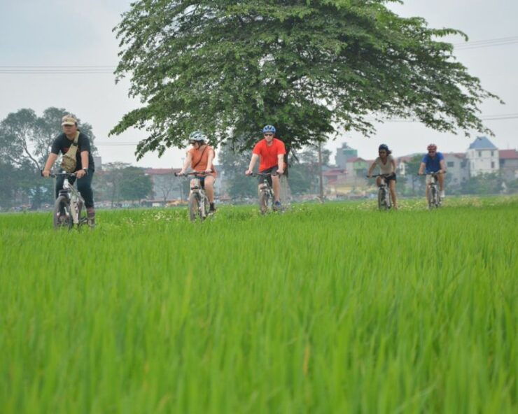 Ha Noi Countryside: Guided Morning or Afternoon Bicycle Tour - Highlights