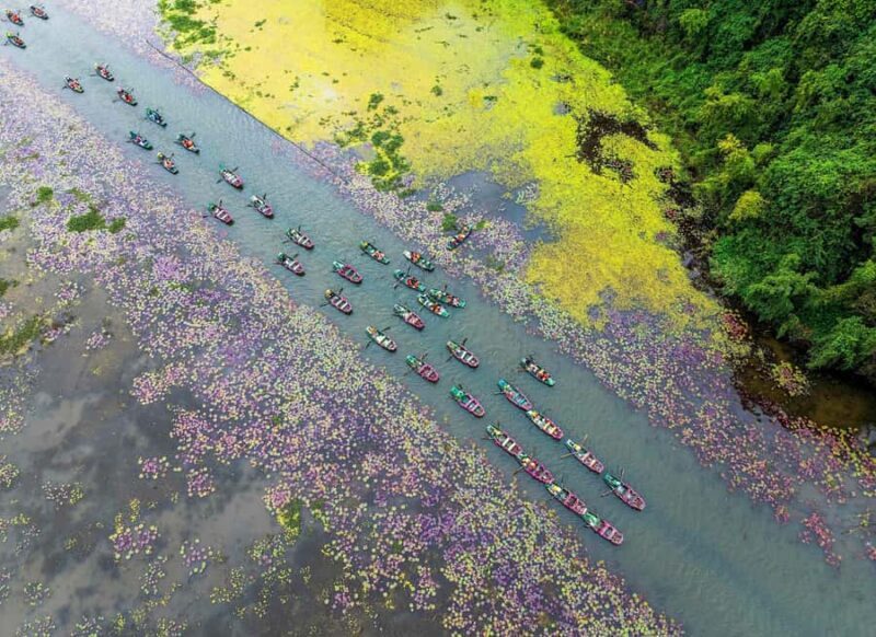 Ha Noi: Explore Ninh Binh Nature in One Day Tour - An Authentic, Well-Organized Way to Discover Ninh Binh