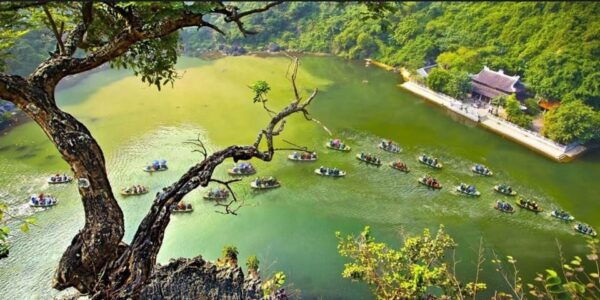 Ha Noi: Hoa Lu - Trang An - Mui Cave Full Day Private Trip - Contact Information