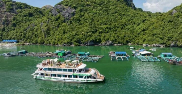 Ha Noi : Lan Ha Bay Day Cruise With Kayaking - Swimming Tour - Tour Overview and Pricing