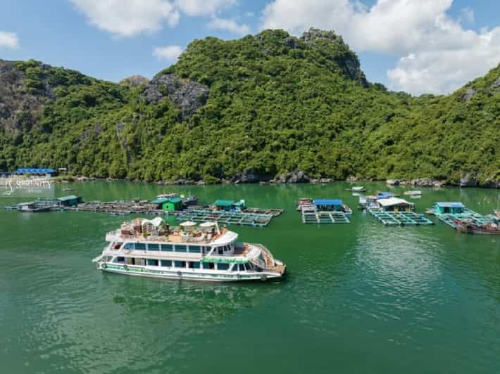 Ha Noi : Lan Ha Bay Day Cruise With Kayaking - Swimming Tour - Experience Highlights