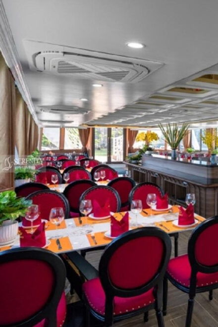 Ha Noi : Lan Ha Bay Day Cruise With Kayaking - Swimming Tour - Inclusions and Essentials