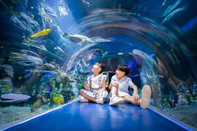 Ha Noi: VinKE and Vinpearl Aquarium Entry Ticket - Good To Know