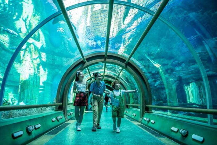 Ha Noi: VinKE and Vinpearl Aquarium Entry Ticket - Show Schedule