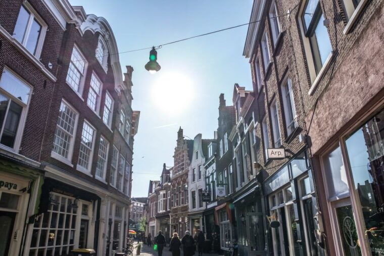 Haarlem: City Highlights Walking Tour - A Deeper Dive into the Experience