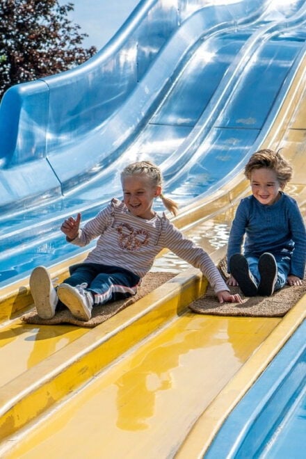 Haarlem: Linnaeushof Theme Park Entry Ticket - Facilities and Amenities